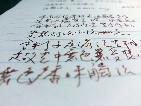 P_20130512_220243 - 複製