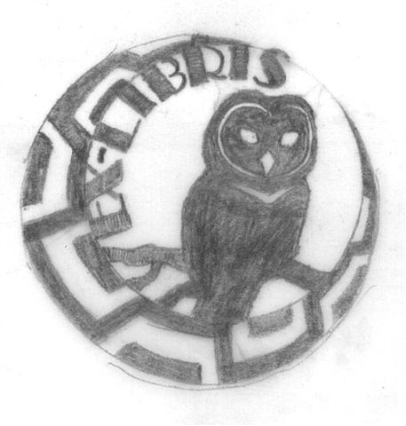 owl.jpg owl.jpg