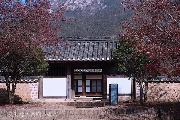 【韓國・順天】樂安邑城・歷經數百年依舊鮮活的朝鮮村落