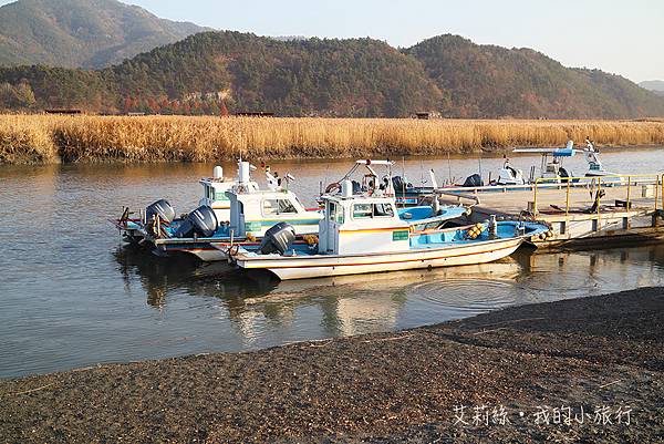 【韓國・順天】順天灣濕地・超夢幻的蘆原和驚艷的侯鳥棲息地