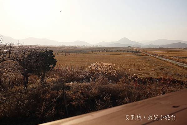 【韓國・順天】順天灣濕地・超夢幻的蘆原和驚艷的侯鳥棲息地