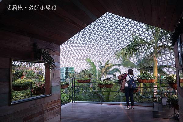 【韓國・巨濟】巨濟植物園叢林圓頂・韓國首座穹頂型玻璃溫室