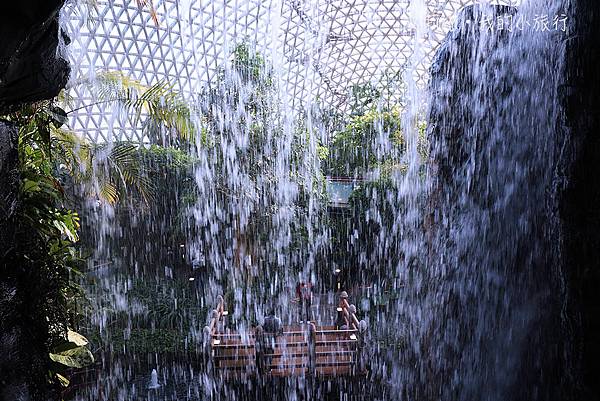 【韓國・巨濟】巨濟植物園叢林圓頂・韓國首座穹頂型玻璃溫室