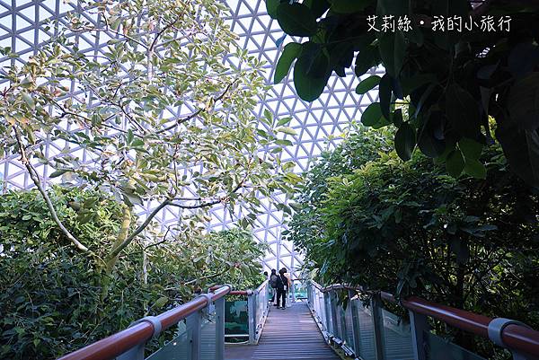 【韓國・巨濟】巨濟植物園叢林圓頂・韓國首座穹頂型玻璃溫室