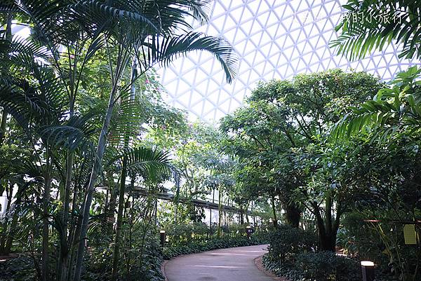 【韓國・巨濟】巨濟植物園叢林圓頂・韓國首座穹頂型玻璃溫室