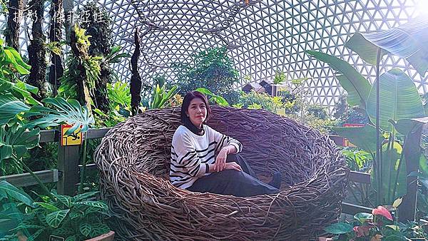 【韓國・巨濟】巨濟植物園叢林圓頂・韓國首座穹頂型玻璃溫室