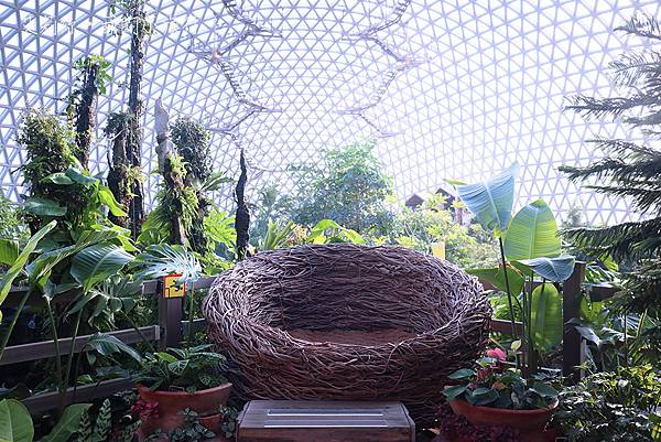 【韓國・巨濟】巨濟植物園叢林圓頂・韓國首座穹頂型玻璃溫室