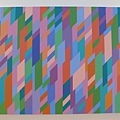 L1060152_Bridget Riley.JPG