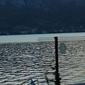 Annecy L1050673.JPG