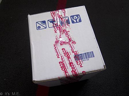 IMG_4597 IMG_4597