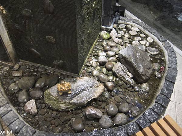 IMG_0612.jpg IMG_0612.jpg