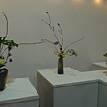 flora night 57.JPG