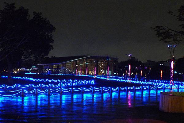 林下花圃花海區夜晚波浪.JPG