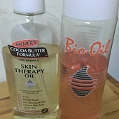 11012733_10203547951772910_3153276735745184762_n