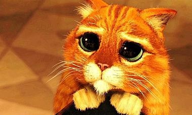 zoomcrop.jfif zoomcrop.jfif