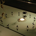 玻璃小螞蟻