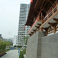P1000944.JPG