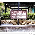 S02.jpg