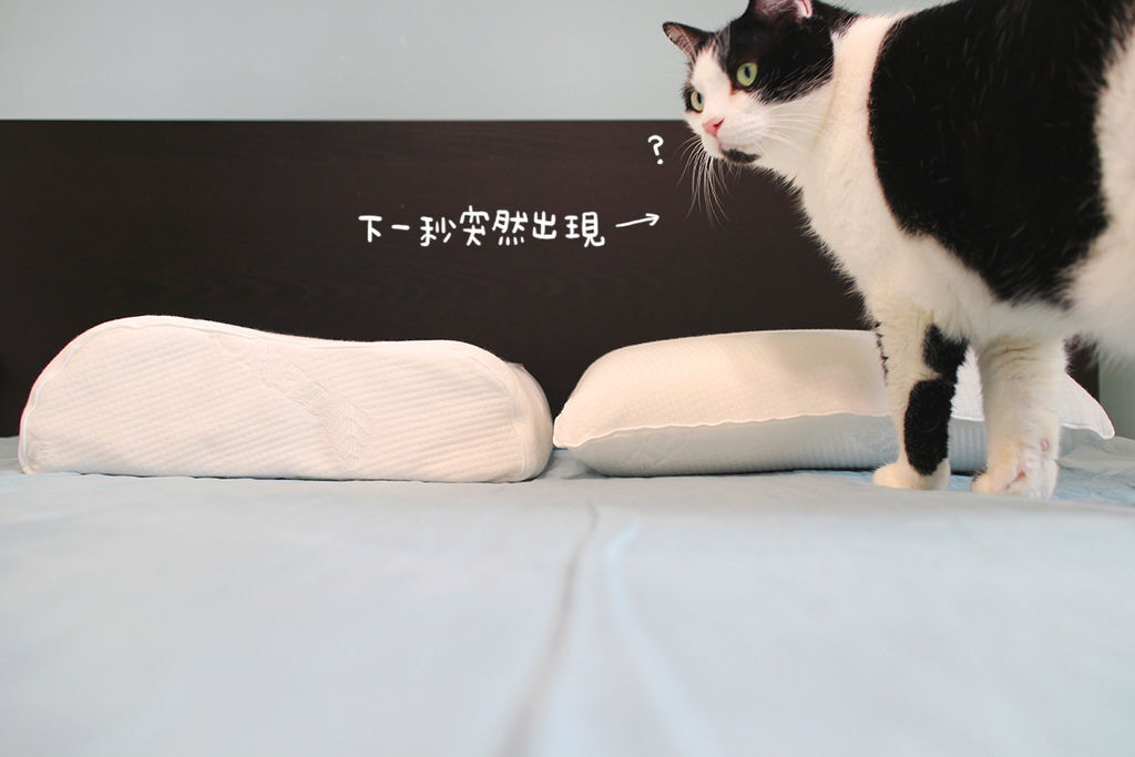 IMG_3927 拷貝1.jpg IMG_3927 拷貝1.jpg