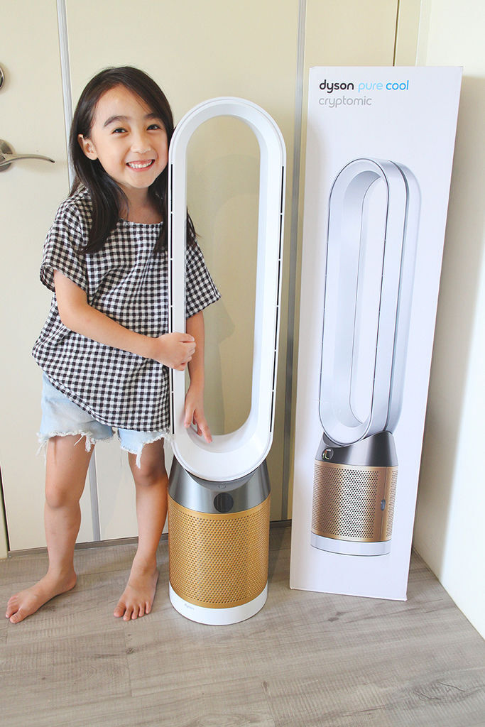 dyson tpo6