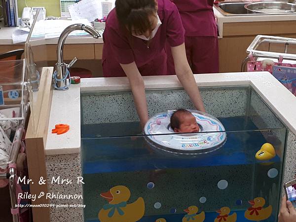 20170525_15285701.jpg 20170525_15285701.jpg