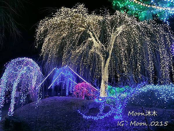 京畿道晨靜樹木園五色星光庭園展20196.jpg