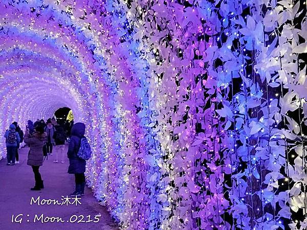 京畿道晨靜樹木園五色星光庭園展201919.jpg