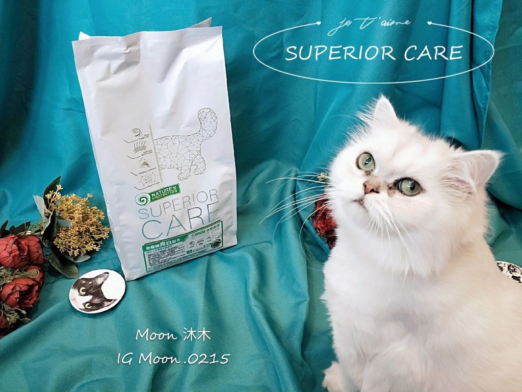 貓咪飼料推薦 開箱 評價 自然本色 全貓種亮白配方 輔助改善淚溝 皮膚毛髮保健飼料 成貓_12.jpg