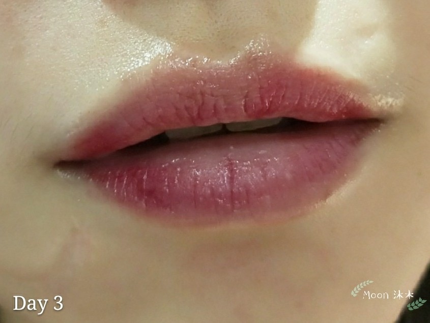 霧唇照顧 不腫霧唇 推薦 水晶唇 花瓣唇 繡唇 紋唇 霧唇顏色 韓式半永久 紋繡 東區台北霧_19.jpg 霧唇照顧 不腫霧唇 推薦 水晶唇 花瓣唇 繡唇 紋唇 霧唇顏色 韓式半永久 紋繡 東區台北霧_19.jpg