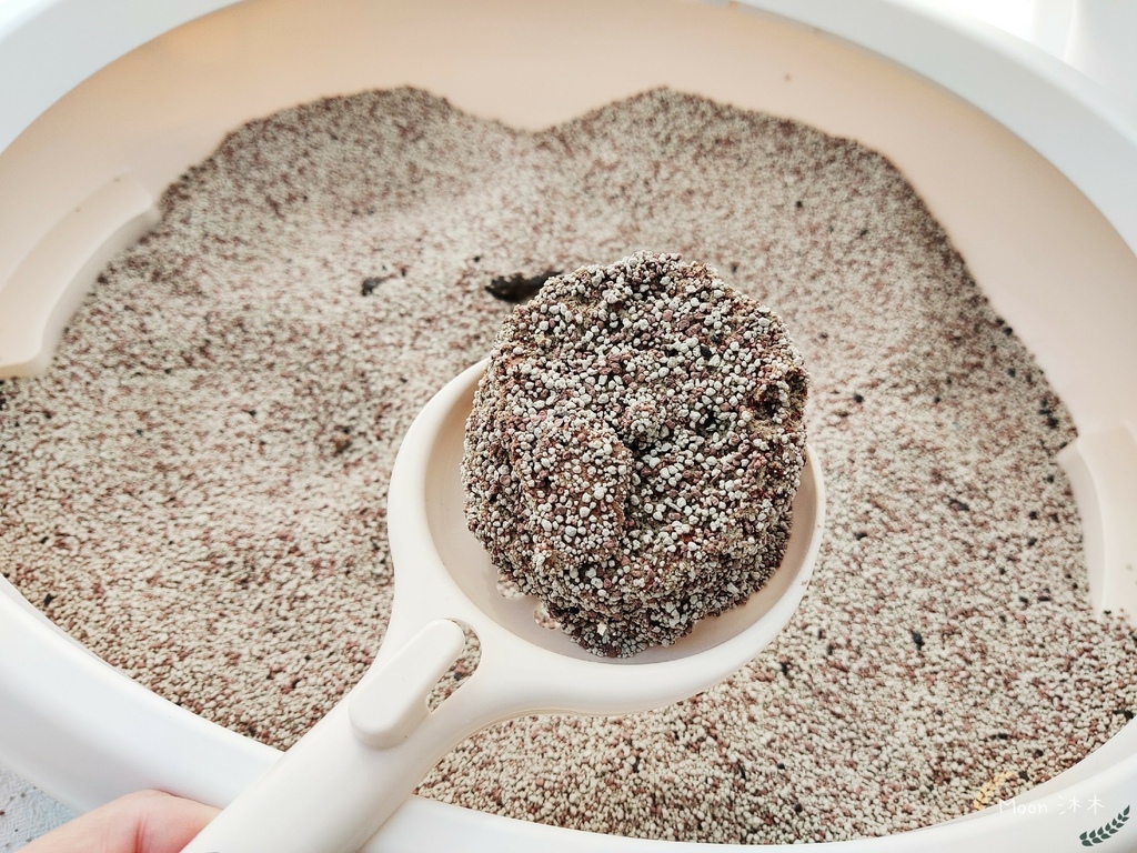 里德貓沙 礦物沙推薦 貓砂推薦2021_210408_4.jpg 里德貓沙 礦物沙推薦 貓砂推薦2021_210408_4.jpg