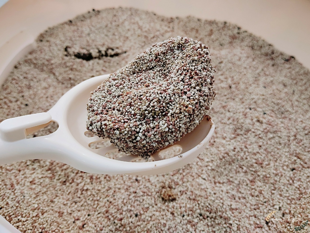 里德貓沙 礦物沙推薦 貓砂推薦2021_210408_6.jpg 里德貓沙 礦物沙推薦 貓砂推薦2021_210408_6.jpg