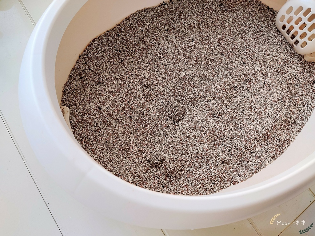 里德貓沙 礦物沙推薦 貓砂推薦2021_210408_3.jpg 里德貓沙 礦物沙推薦 貓砂推薦2021_210408_3.jpg