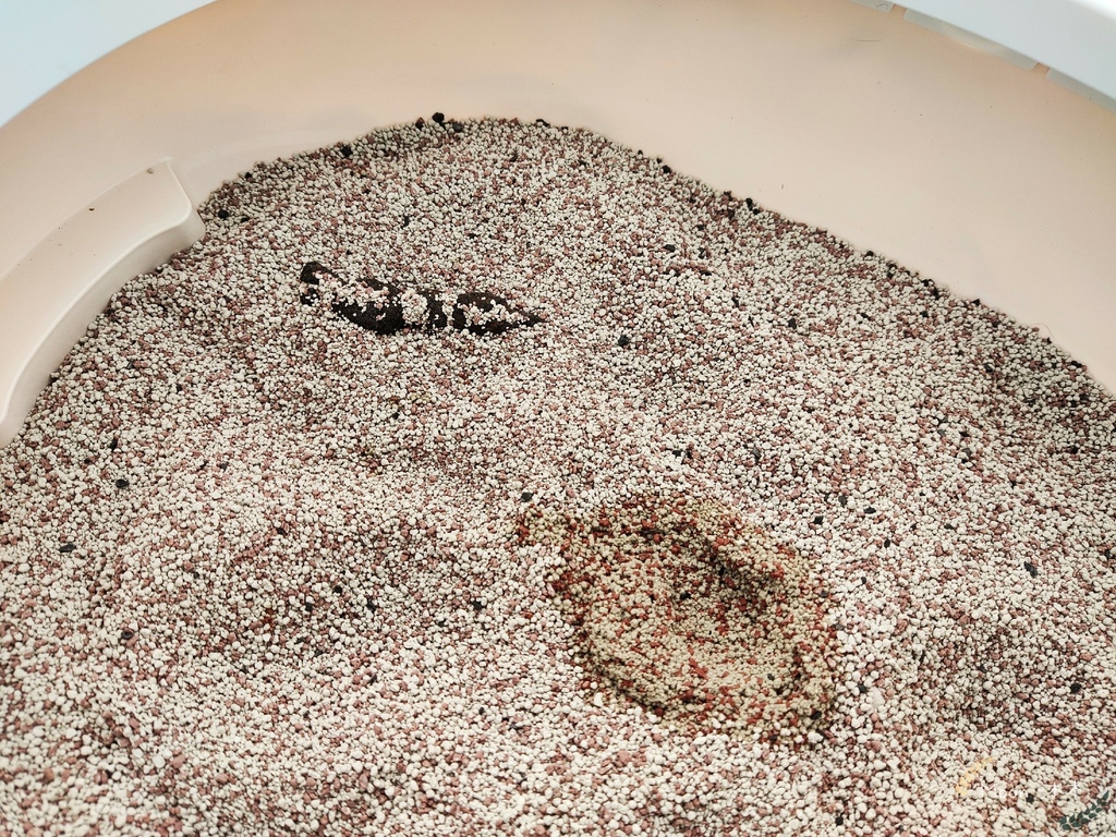 里德貓沙 礦物沙推薦 貓砂推薦2021_210408_7.jpg 里德貓沙 礦物沙推薦 貓砂推薦2021_210408_7.jpg