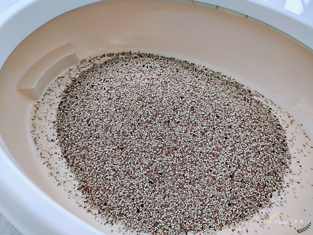 里德貓沙 礦物沙推薦 貓砂推薦2021_210408_12.jpg 里德貓沙 礦物沙推薦 貓砂推薦2021_210408_12.jpg