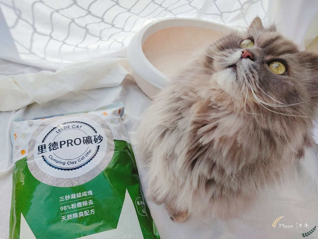 里德貓沙 礦物沙推薦 貓砂推薦2021_210408_19.jpg 里德貓沙 礦物沙推薦 貓砂推薦2021_210408_19.jpg