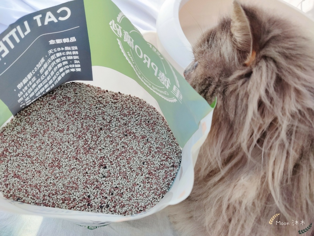 里德貓沙 礦物沙推薦 貓砂推薦2021_210408_18.jpg 里德貓沙 礦物沙推薦 貓砂推薦2021_210408_18.jpg