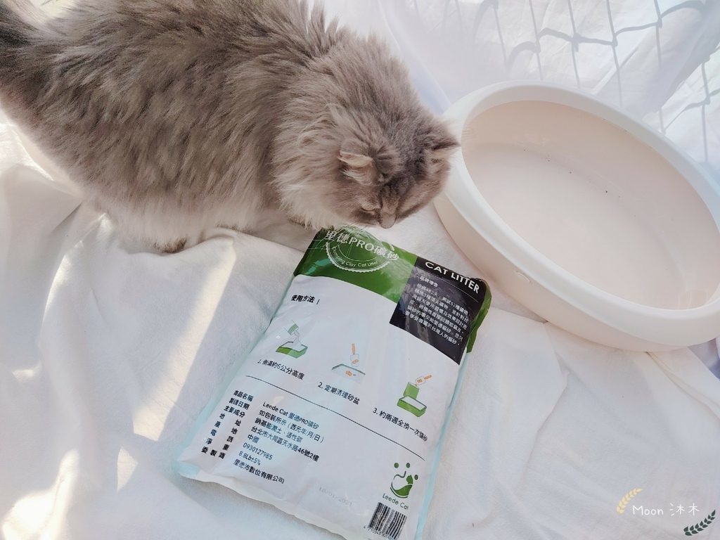 里德貓沙 礦物沙推薦 貓砂推薦2021_210408_21.jpg 里德貓沙 礦物沙推薦 貓砂推薦2021_210408_21.jpg