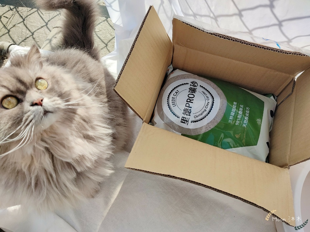 里德貓沙 礦物沙推薦 貓砂推薦2021_210408_25.jpg 里德貓沙 礦物沙推薦 貓砂推薦2021_210408_25.jpg