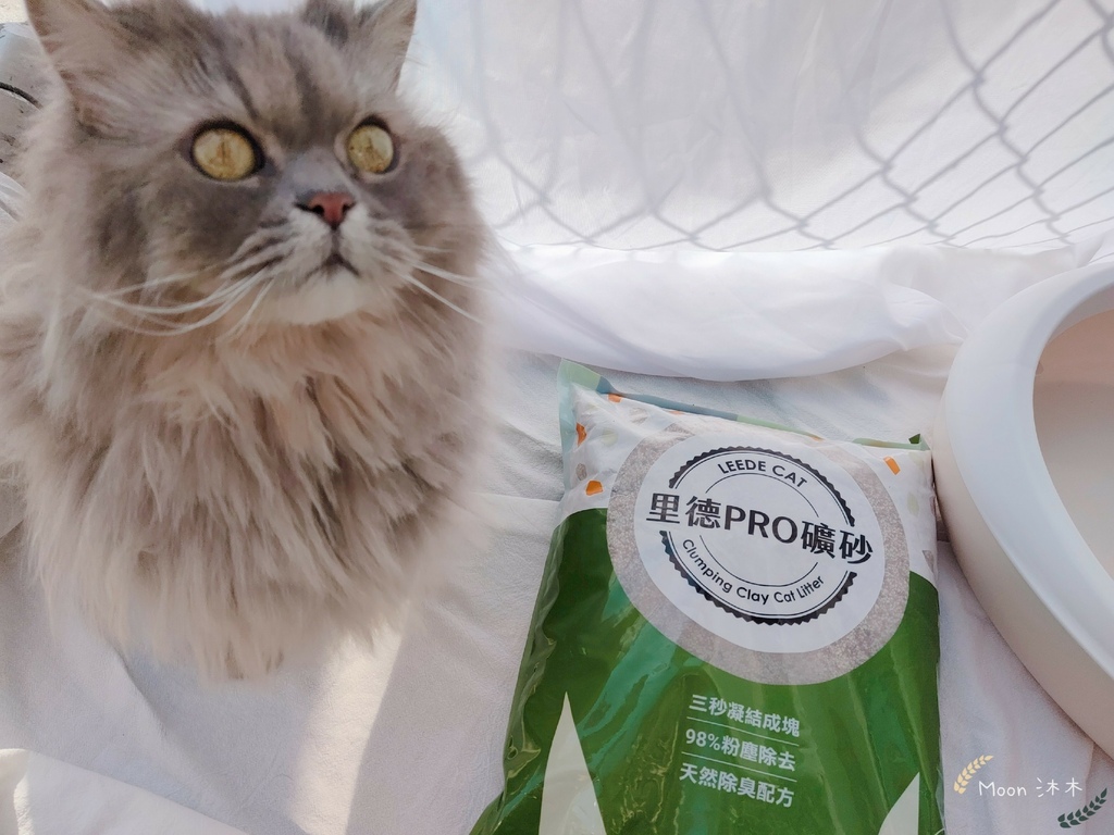 里德貓沙 礦物沙推薦 貓砂推薦2021_210408_28.jpg 里德貓沙 礦物沙推薦 貓砂推薦2021_210408_28.jpg