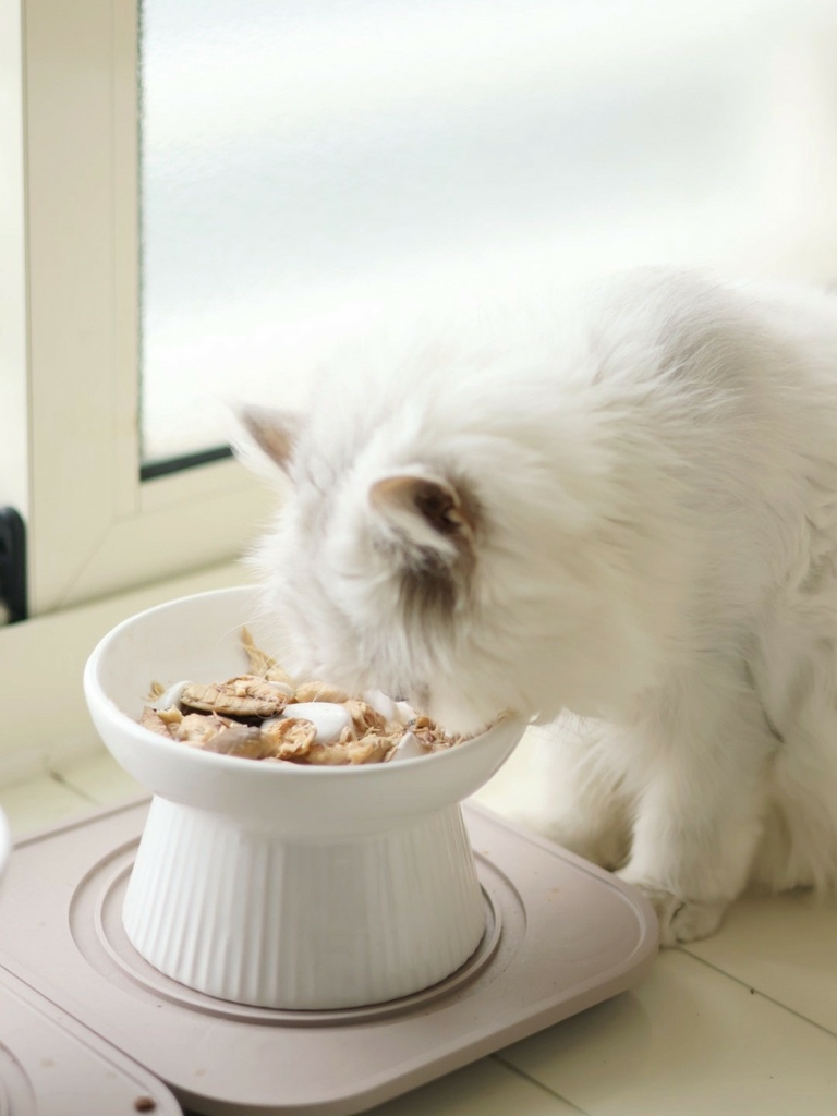 奇境TRILOGY猫饲料 奇境猫罐头 猫饲料推荐 猫罐头推荐 奇境饲料评价_240722_1 (3).jpg