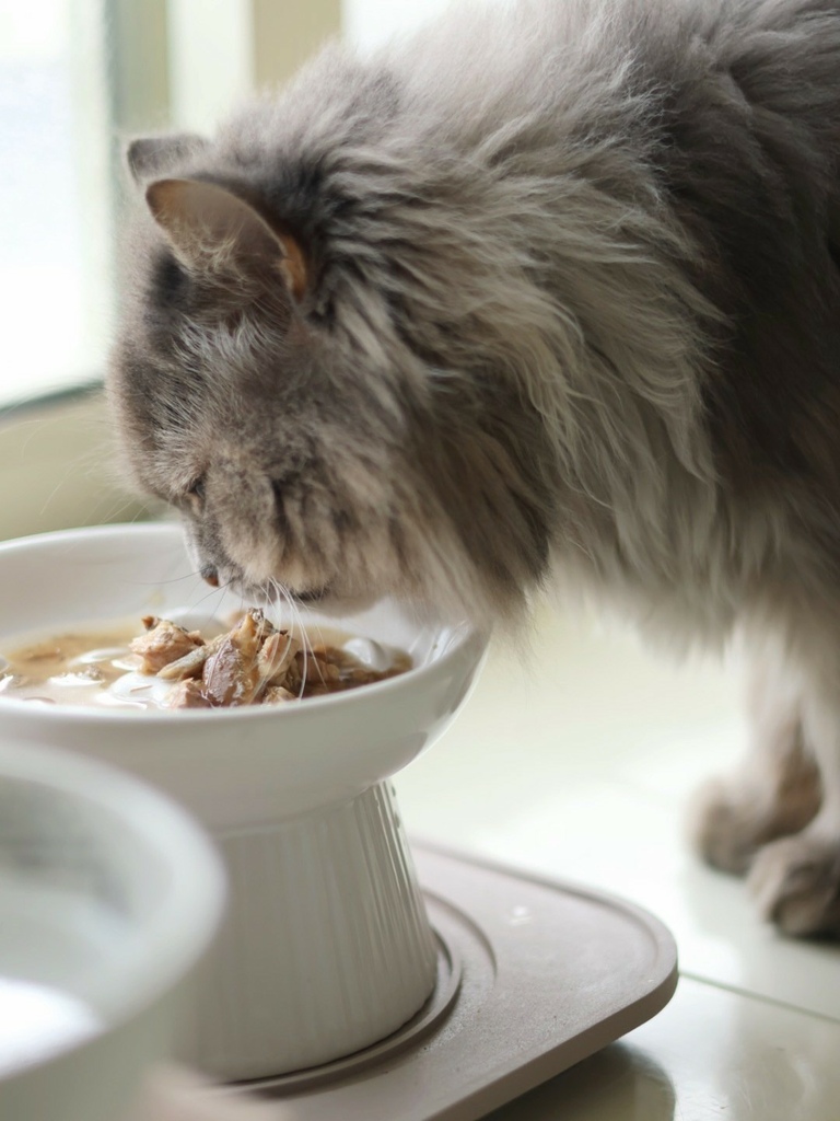 奇境TRILOGY猫饲料 奇境猫罐头 猫饲料推荐 猫罐头推荐 奇境饲料评价_240722_1 (5).jpg