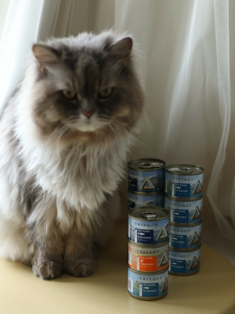 奇境TRILOGY猫饲料 奇境猫罐头 猫饲料推荐 猫罐头推荐 奇境饲料评价_240722_1 (8).jpg