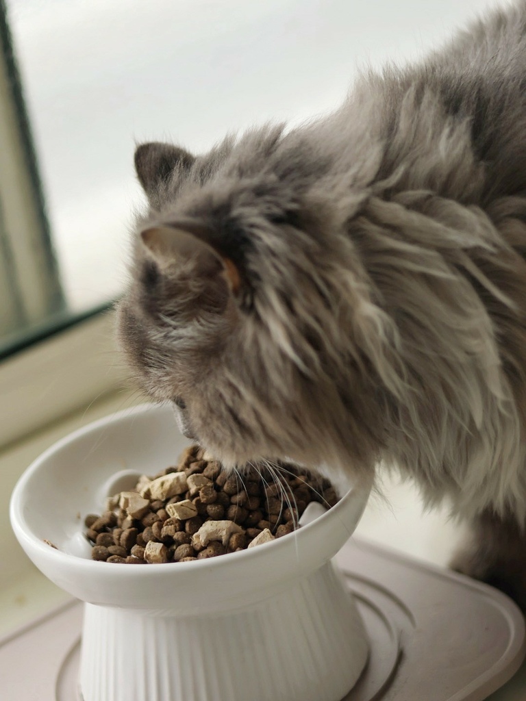 奇境TRILOGY猫饲料 奇境猫罐头 猫饲料推荐 猫罐头推荐 奇境饲料评价_240722_1 (15).jpg