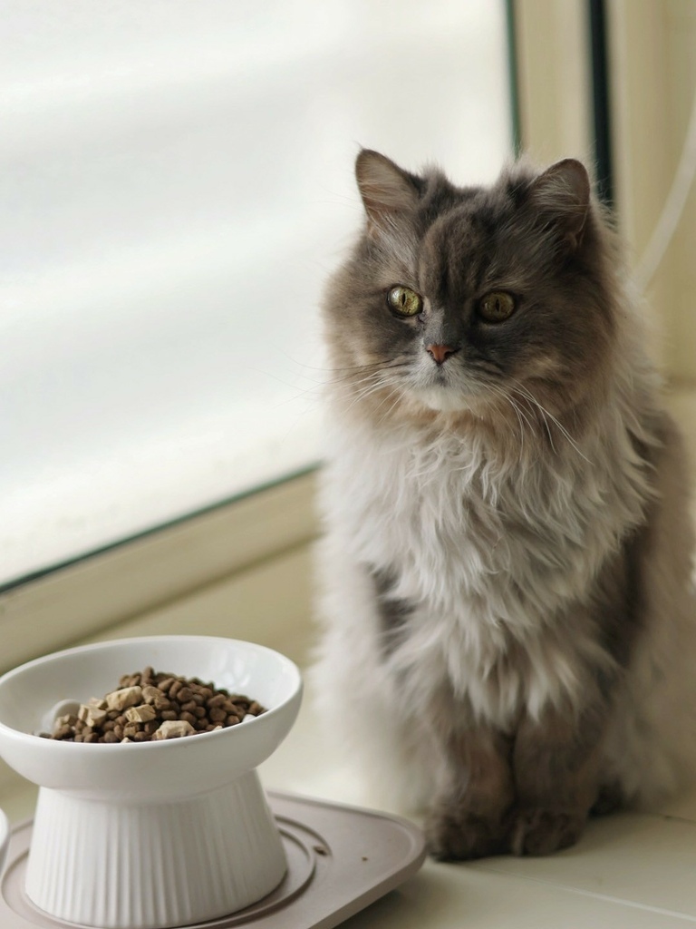 奇境TRILOGY猫饲料 奇境猫罐头 猫饲料推荐 猫罐头推荐 奇境饲料评价_240722_1 (13).jpg