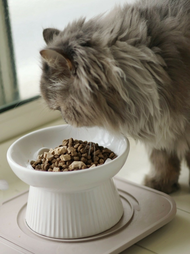 奇境TRILOGY猫饲料 奇境猫罐头 猫饲料推荐 猫罐头推荐 奇境饲料评价_240722_1 (14).jpg