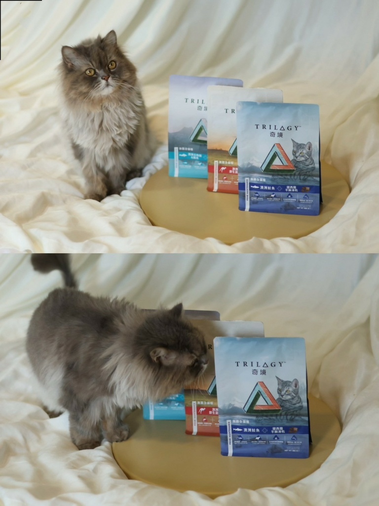 奇境TRILOGY猫饲料 奇境猫罐头 猫饲料推荐 猫罐头推荐 奇境饲料评价_240722_1 (26).jpg