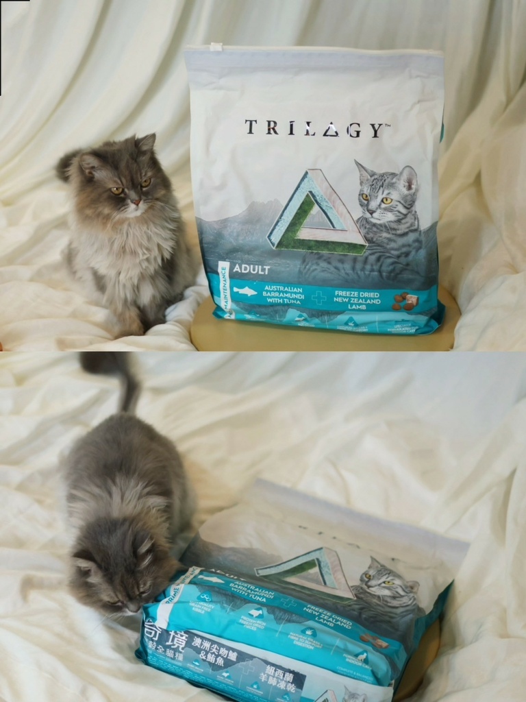 奇境TRILOGY猫饲料 奇境猫罐头 猫饲料推荐 猫罐头推荐 奇境饲料评价_240722_1 (27).jpg
