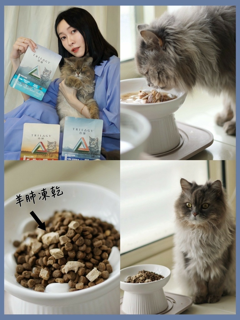 奇境TRILOGY猫饲料 奇境猫罐头 猫饲料推荐 猫罐头推荐 奇境饲料评价_240722_1 (31).jpg