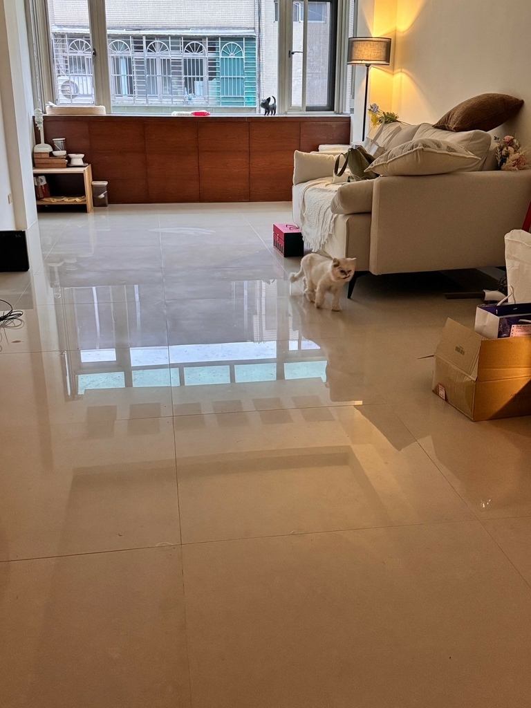 dHConcept_欧巴地板北欧浅橡实景 免胶木地板 DIY木地板 塑料木地板 装潢木地板 不伤磁砖租屋木地板250303_25 (1).jpg