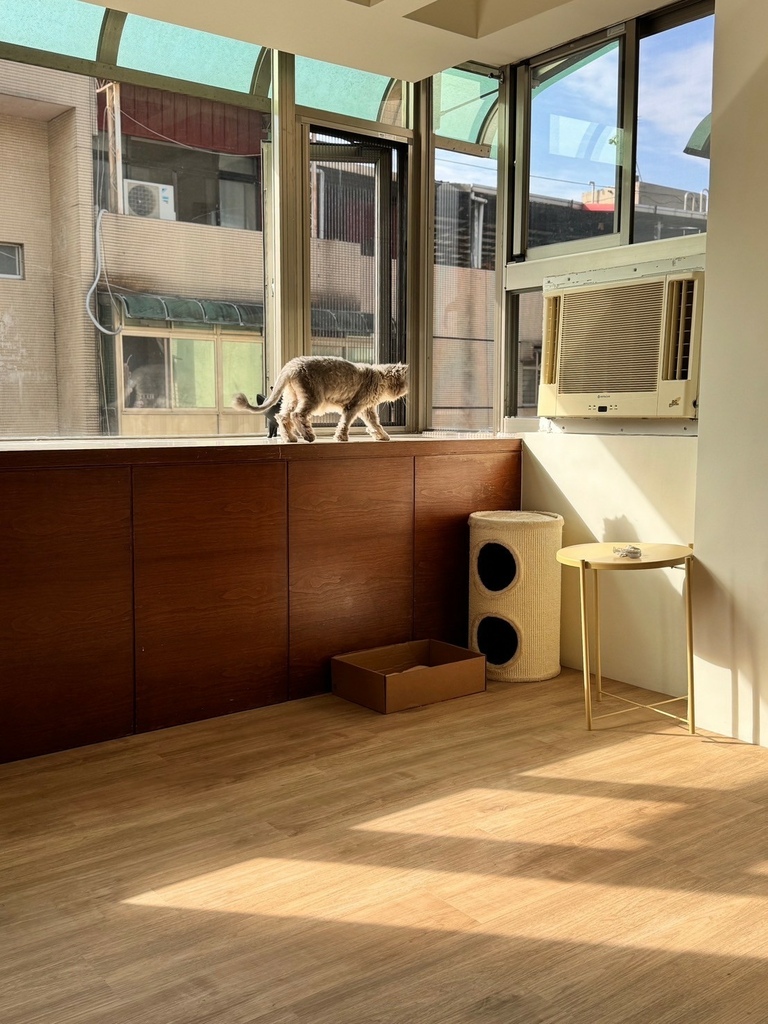 dHConcept_欧巴地板北欧浅橡实景 免胶木地板 DIY木地板 塑料木地板 装潢木地板 不伤磁砖租屋木地板250303_25 (13).jpg